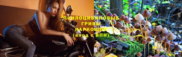 эйфоретик Семикаракорск